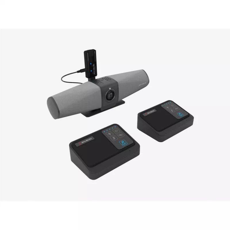 AVer Funkmikrofon-Set for PA511D AW111 (61AW111000AB)