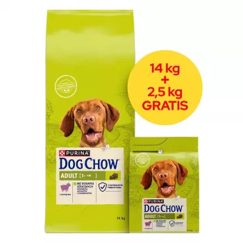 PURINA Dog Chow Adult Lamb - sucha karma dla psa - 14 + 2,5kg