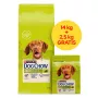 PURINA Dog Chow Adult Lamb - sucha karma dla psa - 14 + 2,5kg