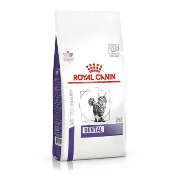 Sucha karma dla kotów Royal Canin Dental 1,5 kg — smak drobiowy dla dorosłych, 29% białka, pielęgnacja zębów