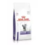 Sucha karma dla kotów Royal Canin Dental 1,5 kg — smak drobiowy dla dorosłych, 29% białka, pielęgnacja zębów