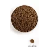 Acana Wild Prairie Cat - sucha karma dla kota - 4,5 kg