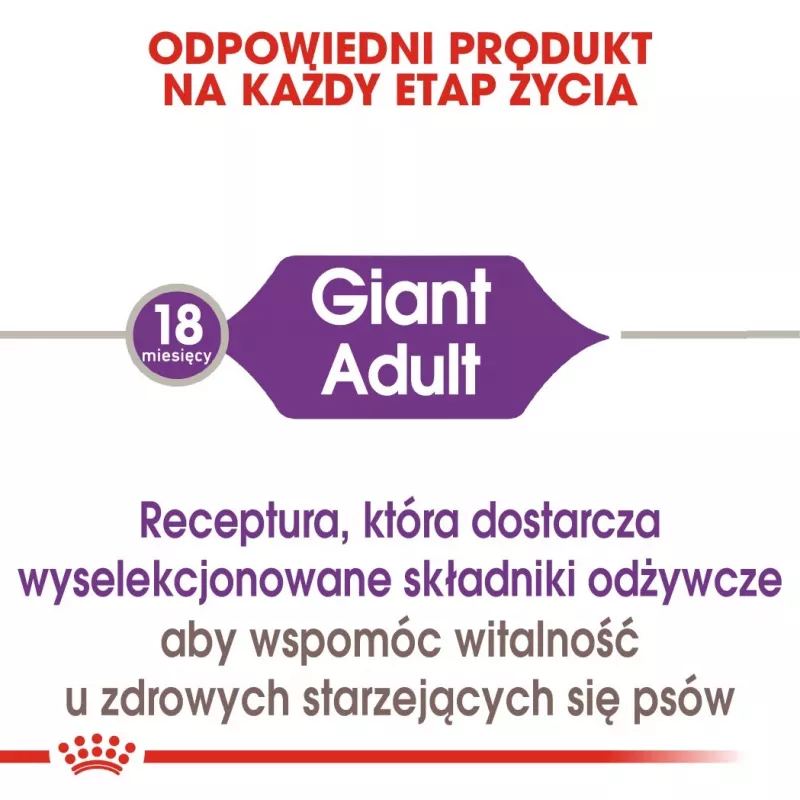 ROYAL CANIN Giant Adult - sucha karma dla psów - 15 kg