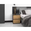 Topeshop W2 ANTRACYT/ARTISAN nightstand/Stolik nocny 2 szuflada(s) antracyt, dąb