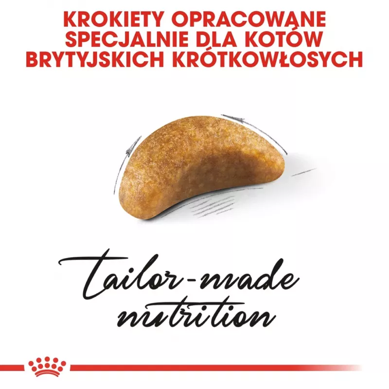 Sucha karma dla kota Royal Canin British Shorthair Kitten 2 kg – kurczak, 38% białka, 20% tłuszczu, formuła wzrostu