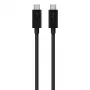 Kabel USB C do USB C Belkin F2CD084bt0.8MBK 0,8 m 40 Gbit/s Czarny