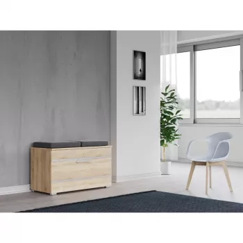 Zamknięta szafka na buty Top e Shop OPAL SZAFKA SONOMA — dąb, 850×450 mm, płyta wiórowa, rama 16 mm