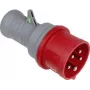 as - Schwabe 61477 Tester kierunku wirowania faz (61477)