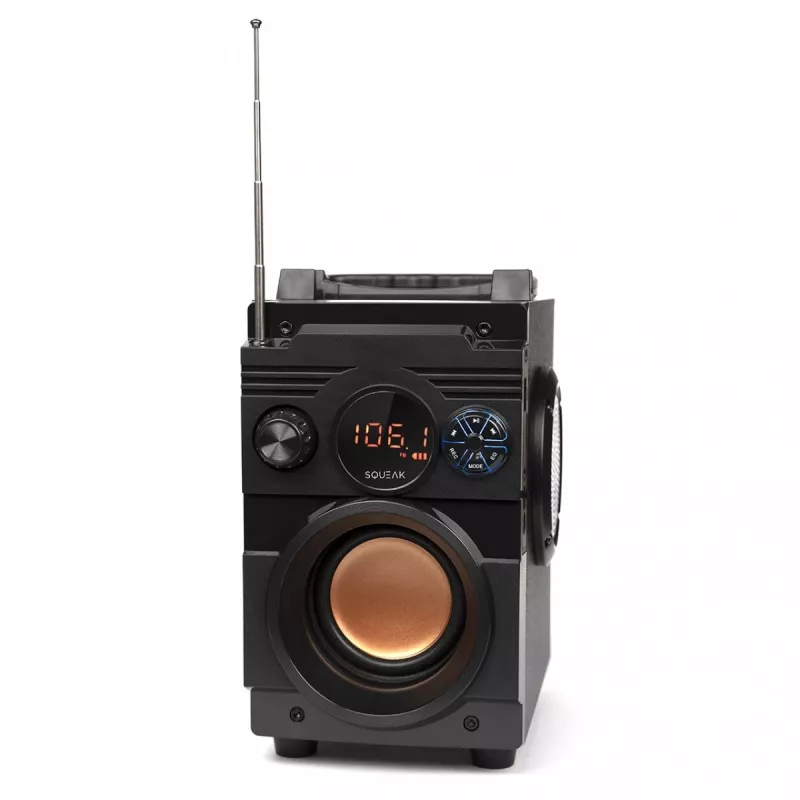 Głośnik Bluetooth 5.1 Squeak Bassblaster, Radio FM, Odtwarzacz MP3 SQ1001