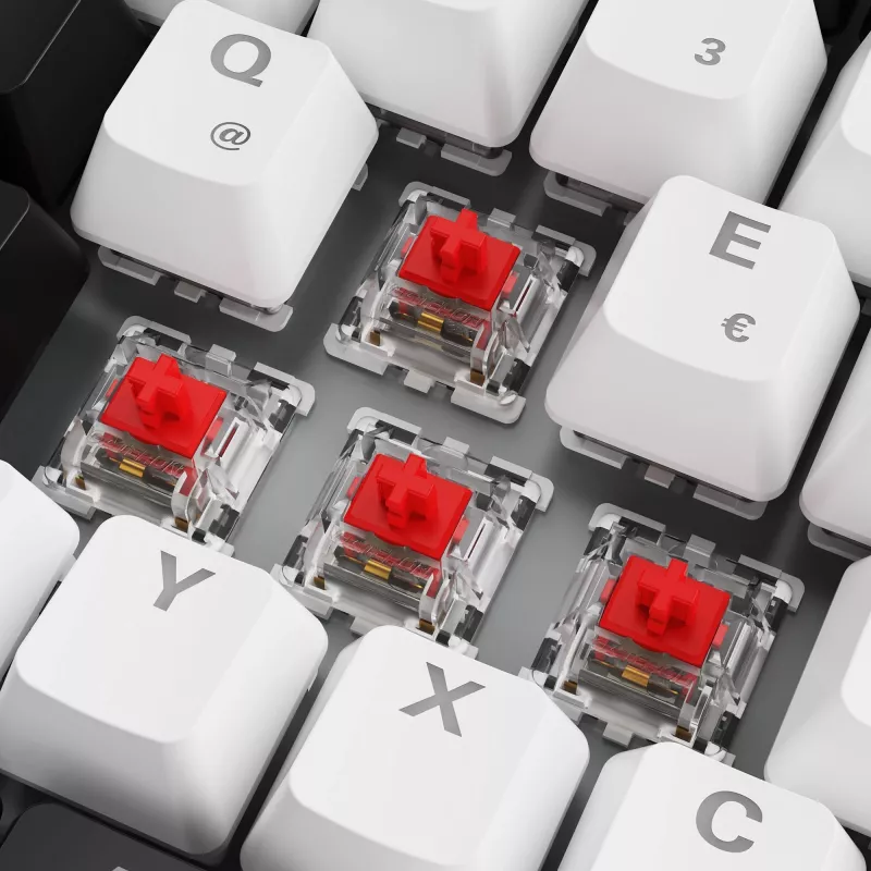 Sharkoon SKILLER SGK50 S3 - Tastatur - 75% - Hintergrundbeleuchtung - USB - QWERTZ - Deutsch - Tastenschalter: Gateron Red (Hot-swappable)