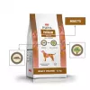 PUPIL Premium Insects - sucha karma dla psów - 12kg