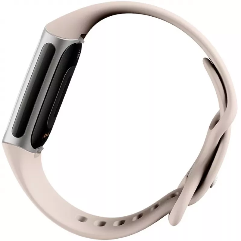 Fitbit GA05185-EU Produkt Srebrny