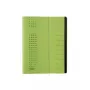 Elba Expanding File chic (42496GN NEU: 400001994)