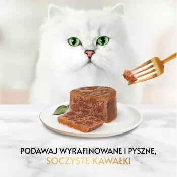 Mokra karma dla kota Gourmet pasztet z królikiem 85 g
