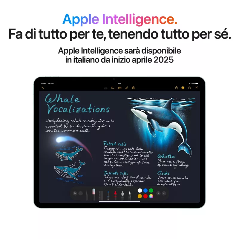 Apple iPad Air 11 WiFi Gray - Tablet