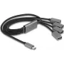 DeLOCK 64210 USB 2.0 Type-C Hub 480 Mbit/s czarny szary