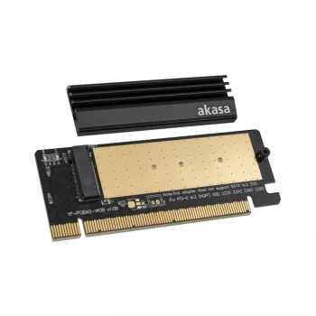 Karta interfejsu Akasa AK-PCCM2P-05
