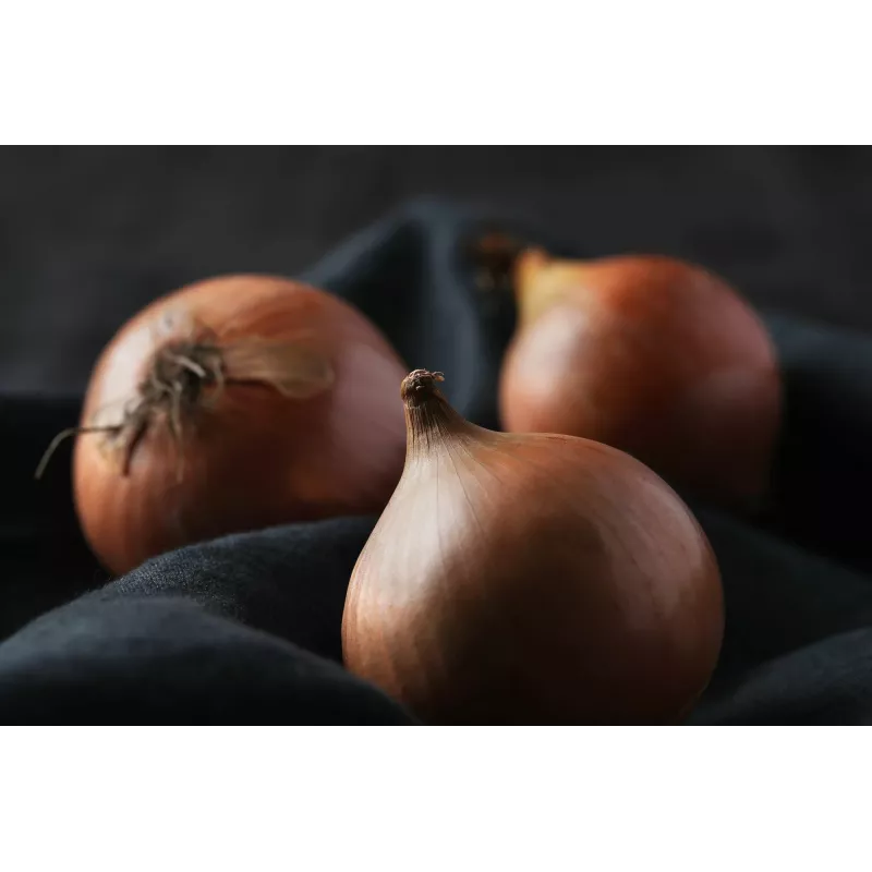 Nasiona cebuli Sochaczewska Toraf, opakowanie 5 g
