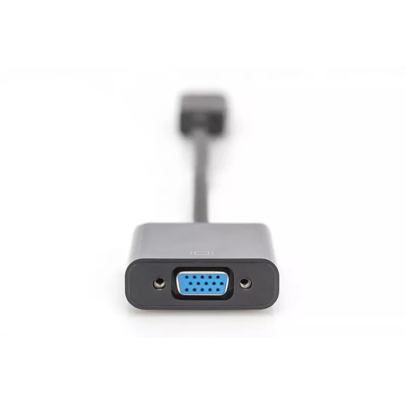 Digitus DisplayPort Adapter / Konwerter