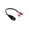 Alcasa AD-2CS5B Kabel audio 0,2 m 2 x RCA DIN (5-pin) Czarny - Czerwony - Biały (AD-2CS5B)