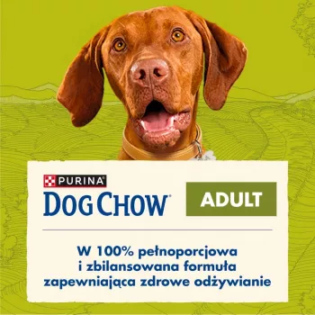 PURINA Dog Chow Adult Lamb - sucha karma dla psa - 14 + 2,5kg