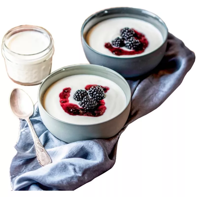 Rommelsbacher JG 80 Jogurtownica 1,2 l twarożek - Jogurt 20 W (JG80)