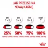 Mokra karma dla kota Royal Canin Sterilised Gravy, 12 x 85 g saszetek — kurczak, dla kastrowanych/wysterylizowanych kociąt, 11% białka, 80,5% wilgotności