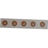 RFID NFC znacznik bezpieczeństwa SCOT NTAG213 18 mm przezroczysty, opakowanie 10 szt.