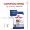 Sucha karma dla psa Royal Canin Maxi Adult 15 kg — Kurczak, 26% Białka, 17% Tłuszczu, Wsparcie Trawienia