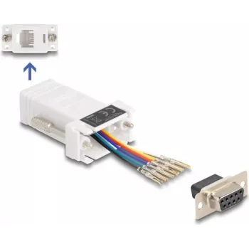 DeLOCK 67078 adapter kablowy D-Sub 9 RJ12 biały