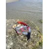 Schildkröt Funsports Fiji