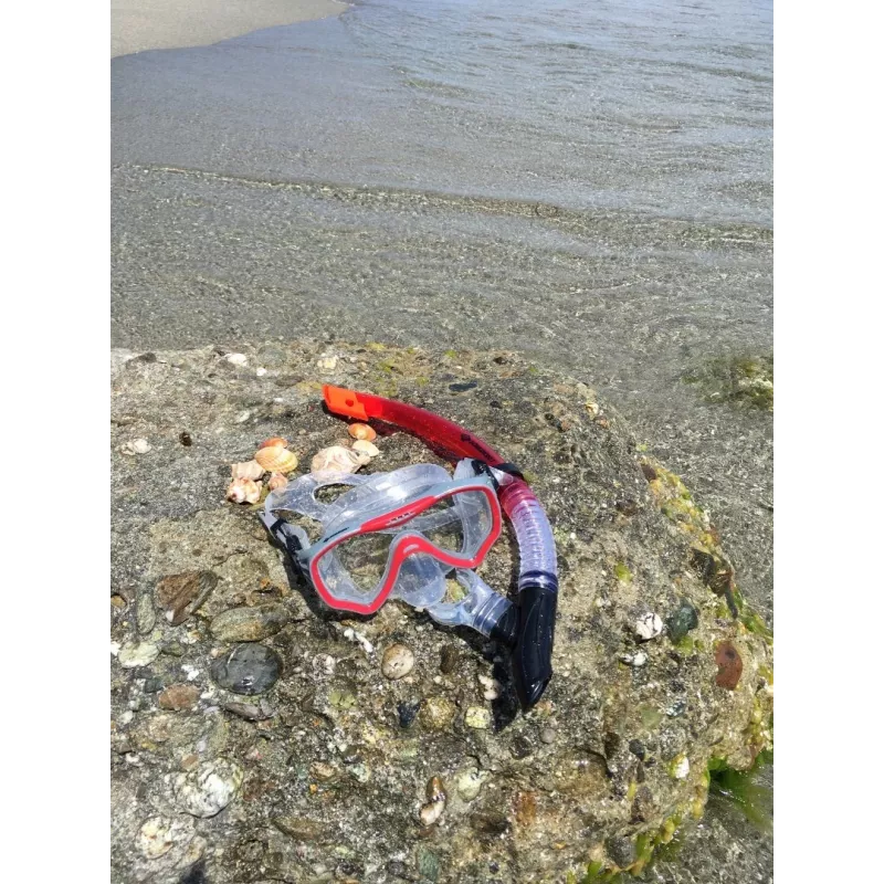 Schildkröt Funsports Fiji