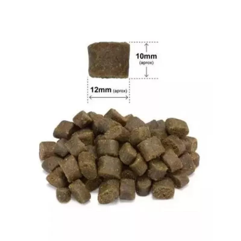 ARQUIVET Świeża wieprzowina iberyjska i ryba - półwilgotna karma dla psów - 2,5kg