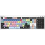 Klawiatura Logickeyboard LKB-PPROCC-AJPU-UK biurowa USB QWERTY UK English Multicolour