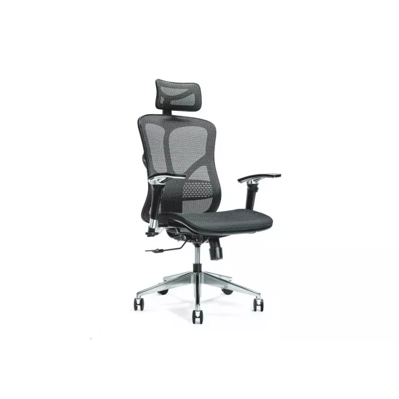 Ergonomiczne krzesło biurowe ERGO 500 czarny