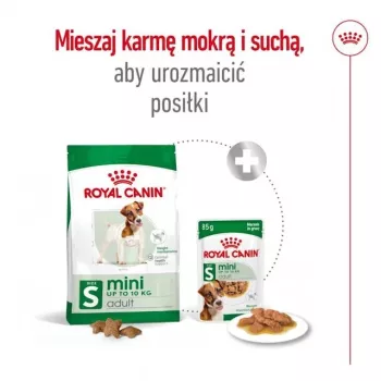 Sucha karma dla psa Royal Canin Adult Mini S 8 kg — kompletne żywienie dla małych dorosłych psów