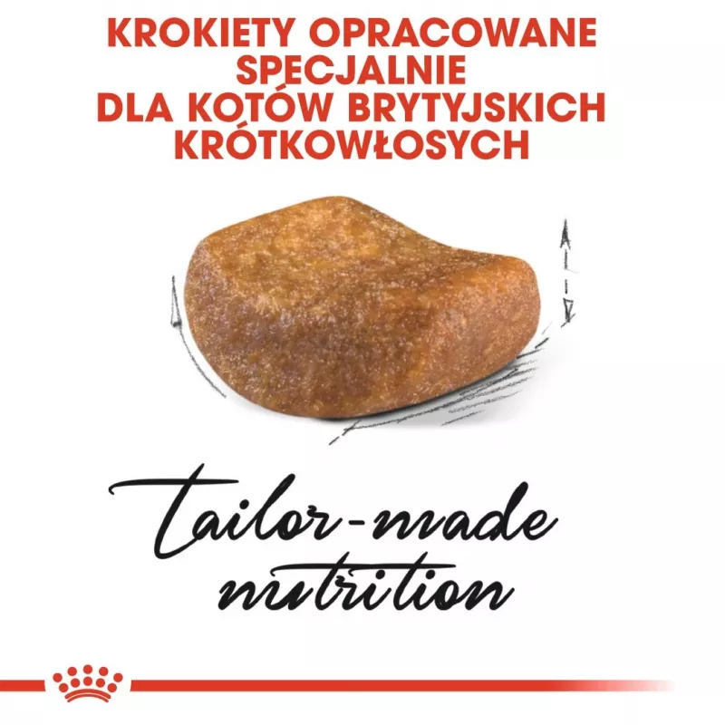 Royal Canin British Shorthair sucha karma dla dorosłych kotów 4 kg