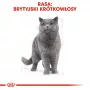 Mokra karma dla kota Royal Canin British Shorthair Adult saszetka 85 g, drób, ROYAL CANIN Feline Breed Nutrition
