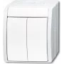 BUSCH-JAEGER Series Switch 2601/5W-54 ocean Alpine Biały IP44 Rocker Switch 2601/5W-54 (1085-0-1621)