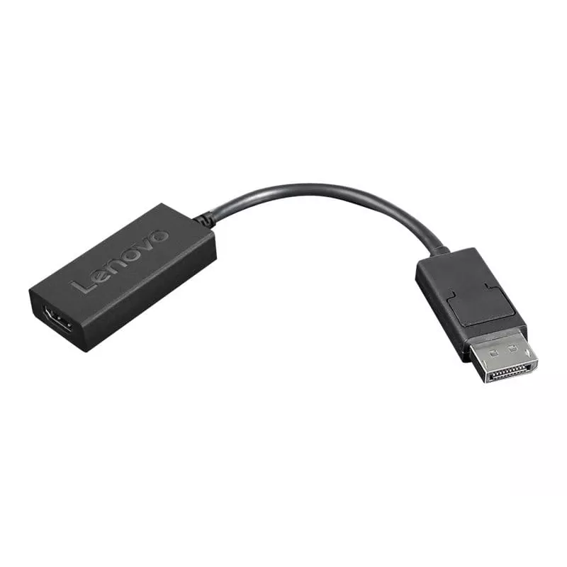 Adapter wideo Lenovo 4X90R61023 0,225 m DisplayPort HDMI Typ A (Standard) Czarny