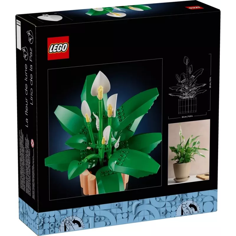 LEGO BOTANICALS 11504 Lilia Pokojowa