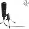 Delock - Mikrofon - USB - Czarny (66832)