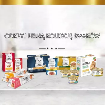 Purina Nestle Gourmet Gold - łosoś i kurczak - mokra karma dla kota - 85 g