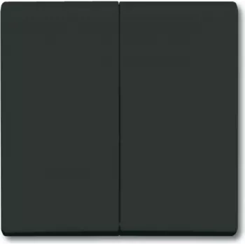 BUSCH JAEGER 2105-35 - Schwarz - Busch-Jaeger - 70 mm - 70 mm - 1,3 cm - 1 Stück(e)