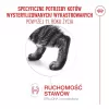Sucha karma dla kota Royal Canin FHN Ageing 11+ 4 kg — kompletna dieta dla kotów seniorów, smak drobiowy, 30% białka