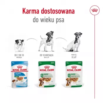 Mokra karma dla psa Royal Canin Mini Adult saszetka 85 g, drób, dla małych ras 5–10 kg, opakowanie 12 × 85 g