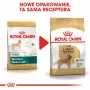 ROYAL CANIN BHN Golden Retriever sucha karma dla psa - 12kg