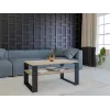 Topeshop MODERN 1P SON CZ stolik kawowy / boczny / narożny Stolik kawowy kształt prostokątny 2 noga/nogi