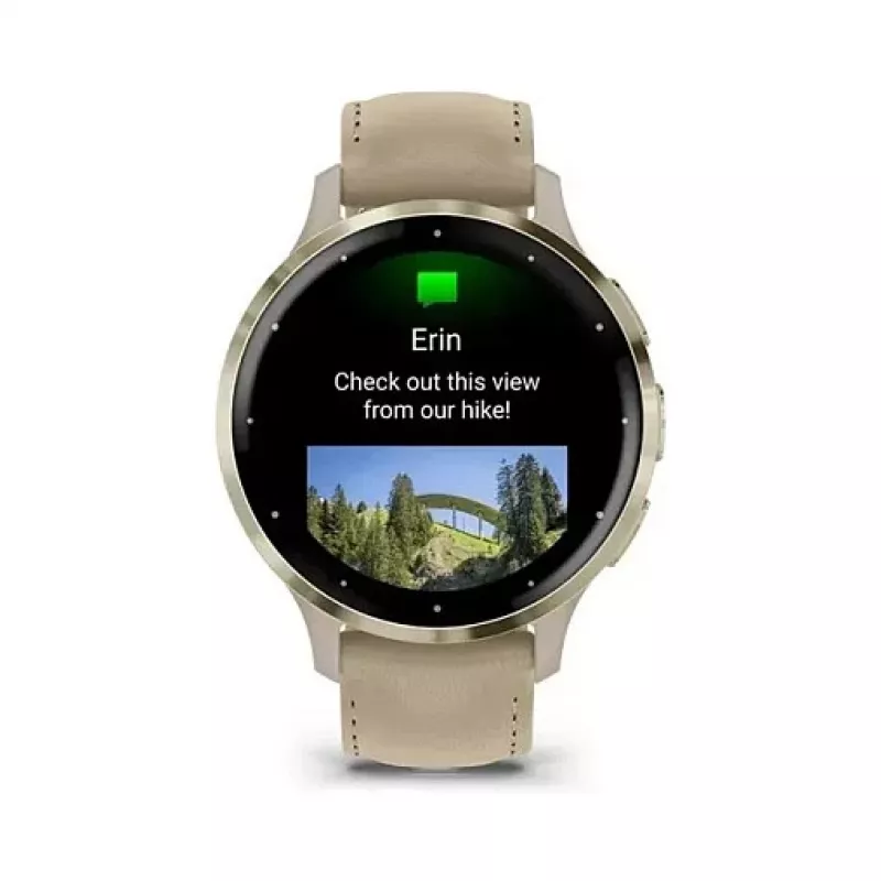 Garmin Venu 3S 41mm, french gray/softgold