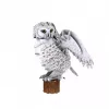 CubicFun Puzzle 3D NG Snow Owl 32 elementy Zwierzęta Wiek 8+